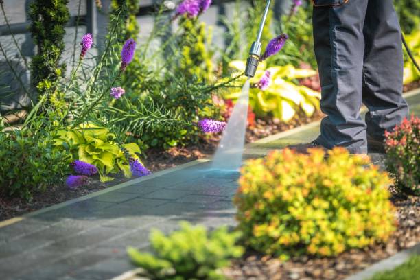 Best Fence Cleaning  in Moxee, WA